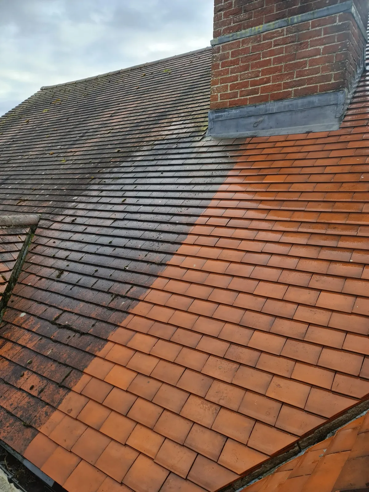 Roof Cleaning