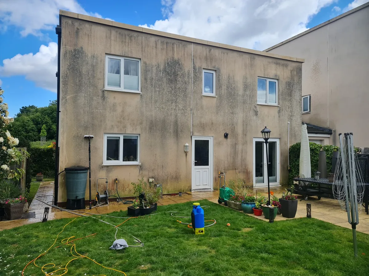 K-Rend covered in algae before soft wash