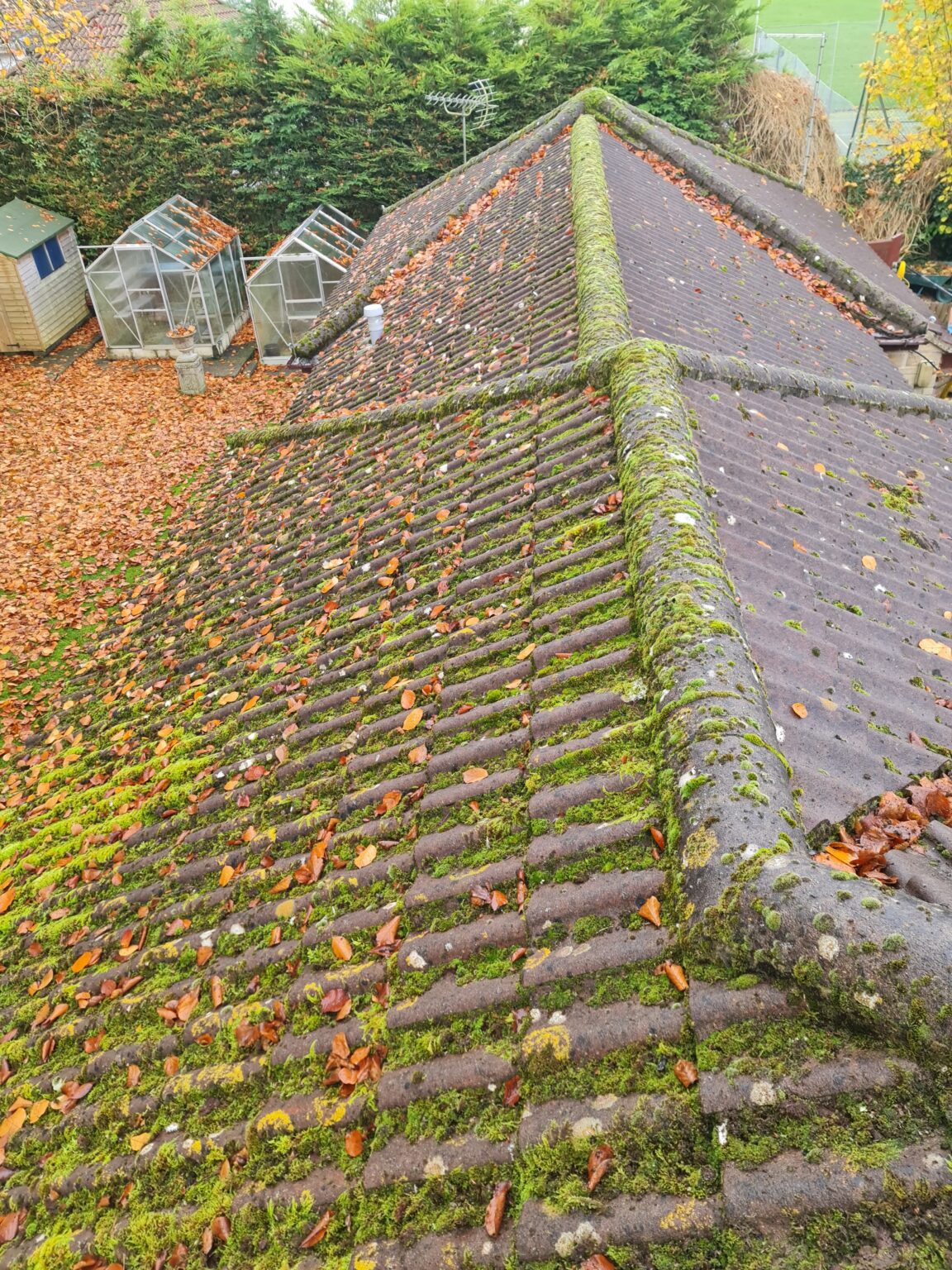 Roof tiles covered in moss before cleaning